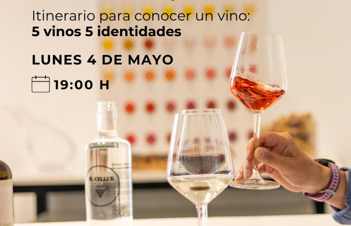 curso cata de vinos mayo