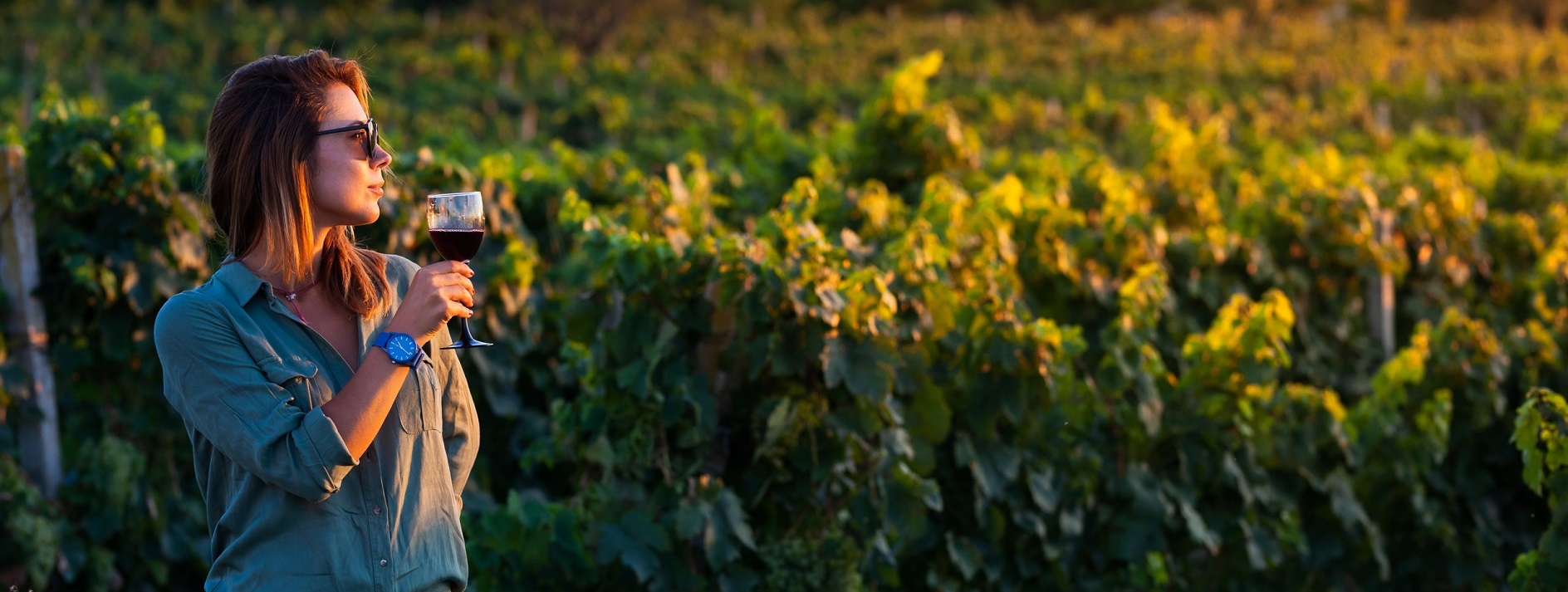 enoturismo en valencia